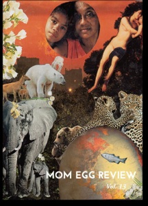 MOM Egg Review